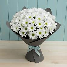 Букет цветов из:  Хризантемы в Сухобезводное