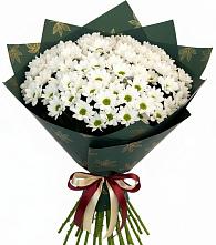 Букет цветов из:  Хризантемы #REPLACE_PRED# Сухобезводное
