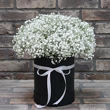 Цветочная композиция из Гипсофила в шляпной коробке #REPLACE_PRED# Сухобезводное