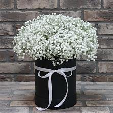 Цветочная композиция из Гипсофила в шляпной коробке в Сухобезводное